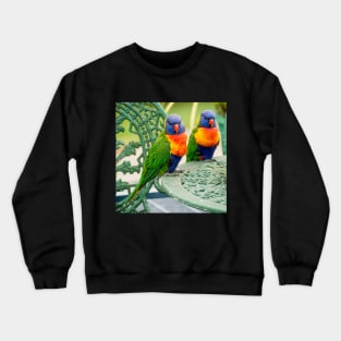 Rainbow Lorikeets Crewneck Sweatshirt